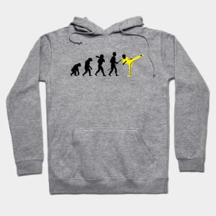 Kung Fu Evolution Hoodie